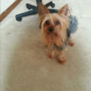 Meet your Posher, Mary